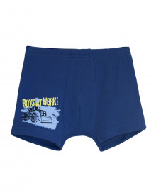 12308 Трусы-боксеры для мальчика нижнее белье купить