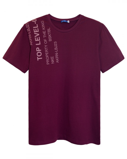 54126 Футболка мужская 