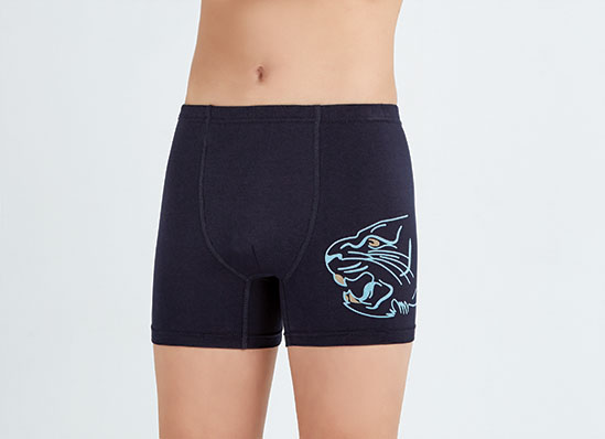 3917 Боксеры для мальчика нижнее белье купить