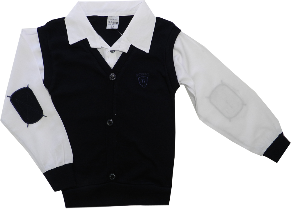 модная детская одежда 201/1 джемпер для мальчика джемпера/водолазки/жакеты