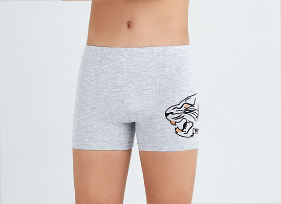 3917 Боксеры для мальчика нижнее белье купить